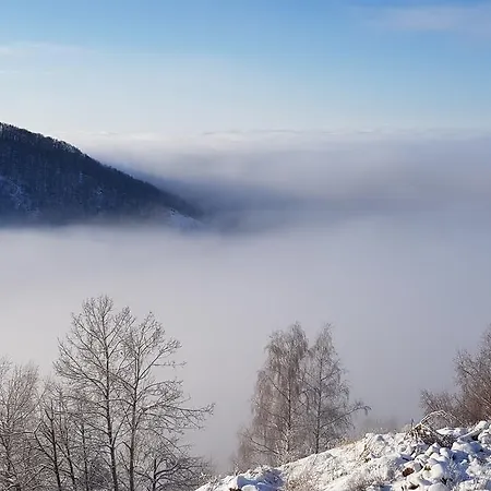 Shining Milmari M11 * Kopaonik