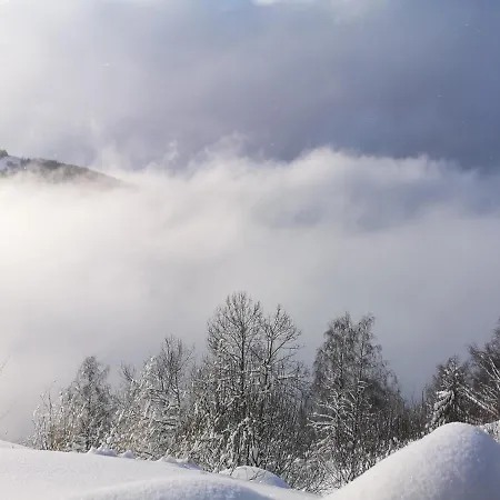 Shining Milmari M11 Appartement