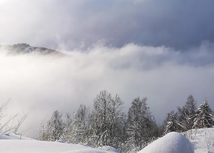 Shining Milmari M11 Apartman